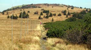 Po střeše Moravy: hřebenovka Jeseníků Po střeše Moravy: hřebenovka Jeseníků