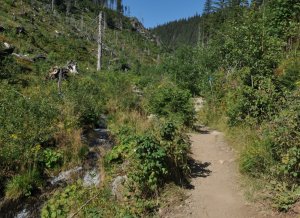 Naučná stezka údolím Bílé Opavy a Praděd Naučná stezka údolím Bílé Opavy a Praděd