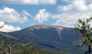 Králický Sněžník Králický Sněžník