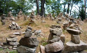 Tanečnice Tanečnice