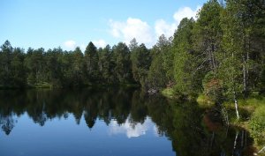 Naučná stezka Rejvíz - Mechové jezírko Naučná stezka Rejvíz - Mechové jezírko