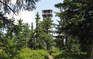 Klepáč (Klepý) - rozhledna Klepáč (Klepý) - rozhledna