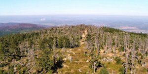 Ptačí kupy Ptačí kupy