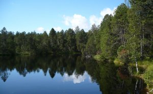 Mechové jezírko Mechové jezírko